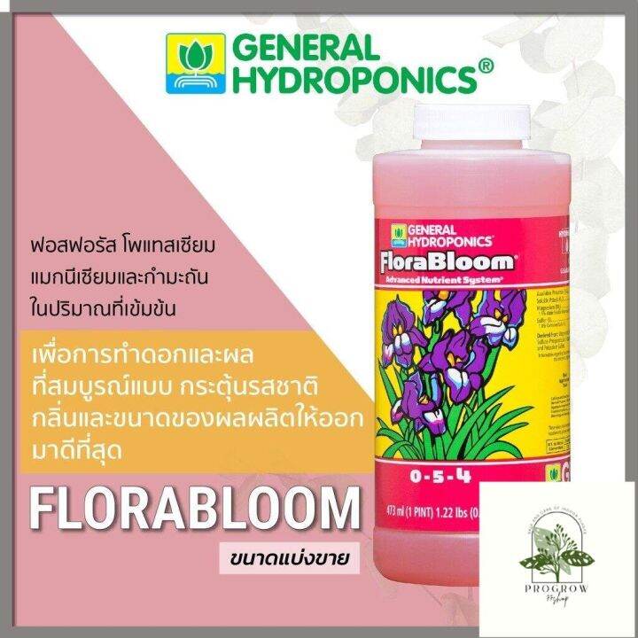 ready-stock-general-hydroponic-floral-series-set-เซ็ทพื้นฐาน-3-ขวด-ยอดนิยม-ปุ๋ยนอก-ปุ๋ยนำเข้า-ปุ๋ยเมกา-ปุ๋ยusaมีบริการเก็บเงินปลายทาง