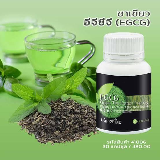 egcg-giffarine-ชาเขียวแคปซูล-ชาเขียวสกัด-อีจีซีจี-ชาเขียว-สารสกัดชาเขียวกิฟฟารีน