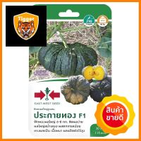 ฟักทองผลใหญ่ลูกผสม F1 ประกายทอง ศรแดงHYBRID PUMPKIN SEED F1 SORNDAENG PRAKAITHONG **โปรโมชั่นสุดคุ้ม โค้งสุดท้าย**