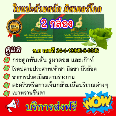 ใบแปะก๊วยสกัด สำหรับอาการ ปวดข้อ ปวดเข่า ปวดเมื่อย ปวดหลัง เก๊าท์ เหน็บชา กระดูกทับเส้น 2 กล่อง