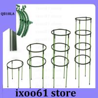 ixoo61 store 4Pcs Plastic Plant Support Pile Orchid Stand Holder For Flowers Semicircle Greenhouses Fixing Rod Holder Bonsai