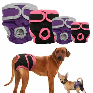 Panties for clearance dogs in heat