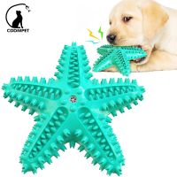 Starfish Dog Chew Squeaky Toy Large Dog Toothbrush Interactive Pet Toy Dental Care Tooth Cleaning Molar Stick Elastic Doggy Toys Toys