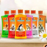 BEARING แชมพูอาบน้ำสุนัขแบร์ริ่ง 300 ml. ของแท้ พร้อมส่ง