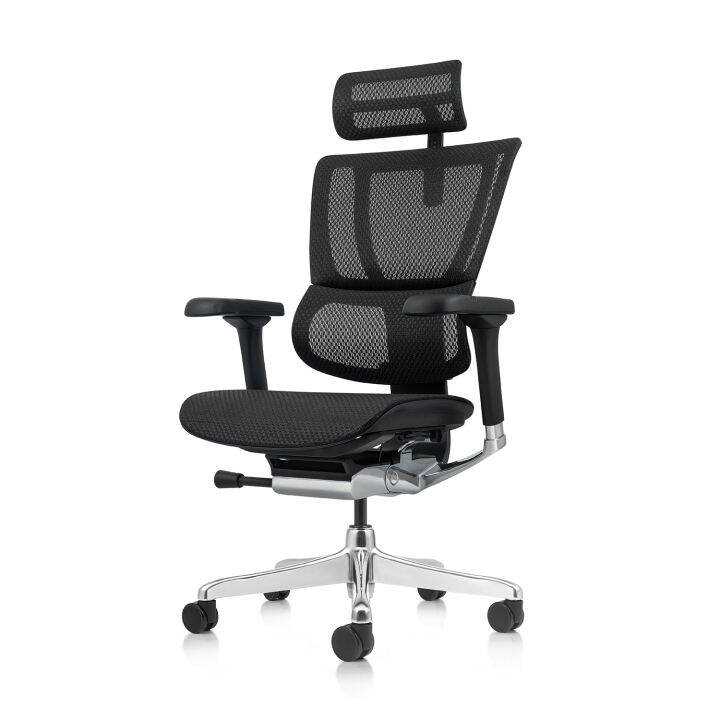 Ergohuman IOO Elite 2 Ergonomic Full Mesh Ergonomic Office Chair ...