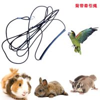 【JH】 Leash Rope Walking Hamster Guinea Pig Chinchilla Flying