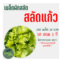 ?เมล็ดผักสลัดอินทรีย์ ผักกาดแก้ว(หอมห่อ) 100 เมล็ด 10แถม1 ?อัตราการงอกสูง มีคู่มือการปลูกทุกซอง เมล็ดพันธุ์ เมล็ดพันธุ์ผัก