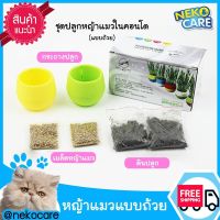 Neko Care ชุดปลูกหญ้าแมว ชุดปลูกต้นอ่อนข้าวสาลี มีดิน+เมล็ดพร้อมปลูก รุ่น Mini Cup 1 กล่อง มี 2 ถ้วย ต้นข้าวสาลีอ่อน หญ้าแมว ข้าวสาลีแมว