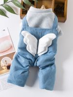 Pet Clothes Small Dog Wool Jumpsuit Winter Autumn Warm Fashion Sweater Cat Sweet Thick Coat Puppy Cute Jacket Poodle Bulldog Pug