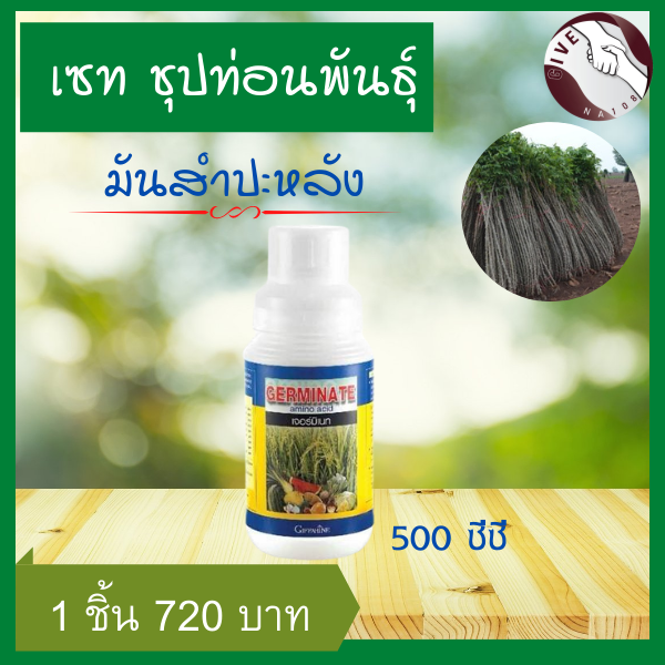 จัดส่งฟรี-เซทปุ๋ย-ชุปท่อนมัน-มันสำปะหลัง-3ปุ๋ยกิฟฟารีนมันสำปะหลัง-ปุ๋ยของแท้-ปุ๋ยกิฟฟารีนแท้