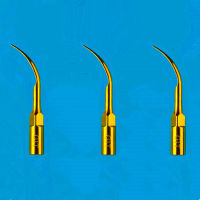 3ชิ้น G1T, ทันตกรรม supragingival Scaling TIP สำหรับ EMS นกหัวขวาน-UDS sybronendo handpiece