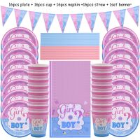 65Pcs เพศเปิดเผยชุดอาหารทิ้งชุด Boy หรือ Girl แผ่นผ้าเช็ดปากเพศเปิดเผย Baby Shower Party อุปกรณ์ตกแต่ง