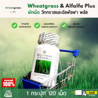 Wheatgrass &amp; Alfalfa Plus วีทกราส อัลฟาลฟา พลัส ผักอัดเม็ด ผักเม็ด แอมสตรอง เม็ดสีดำ Super Greenfood  ?