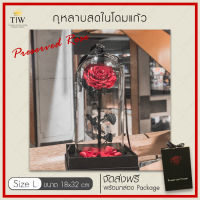 กุหลาบในโหลแก้ว สีแดง Size L สูง 32 cm Preserved Rose ของขวัญให้แฟน ดอกไม้สด ดอกไม้ประดิษฐ์ ดอกไม้จริง กุหลาบดอกใหญ่ ของขวัญวันเกิด