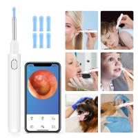 4.2mm Wireless Ear Cleaner High Precision Ear Wax Removal Tool with Camera LED Light Otoscope Smart Ear Cleaning Kit Health Care