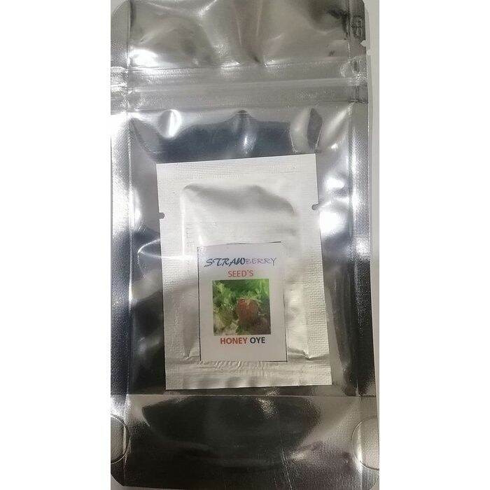 High quality seed STRAWBERRY SEEDS HEAT TOLERANCE 50seeds Lazada PH