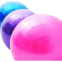 45/55/65/75/85/95cm Balls Gym Exercise Inflatable Workout Massage