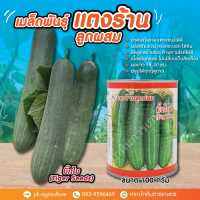 เมล็ดพันธุ์แตงร้านบิ๊กไบค์ (Tiger seeds) ขนาด 100 กรัม