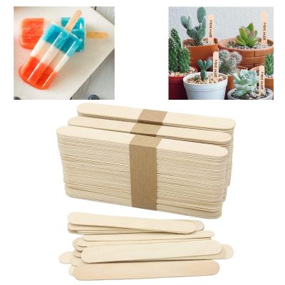 Wood Craft Sticks Ice Cream Sticks Popsicle Sticks Ideal for Building Model  Kids Handicraft and Creating Craft Projects Wooden Key Holders