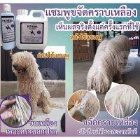 ขนาด 1000 ml. แชมพูสุนัขขจัดคราบฉี่ Pethera ขับสีขนให้เงางามสูตรพิเศษสำหรับสุนัขที่มีขนสีขาวหรือทุกสีขน ไม่มีสารกัดหรือฟอกสี