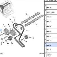 Baificar Brand New Intake Exhaust Intake Exhaust Timing Gear Flanged Screw For Peugeot 307 408 308 3008 508 Citroen C5 2.0 2.3