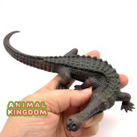 Animal Kingdom - โมเดล Gavial ตะโขง เทา ขนาด 17.80 CM (จากสงขลา)