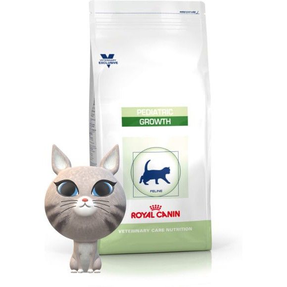 contrast Hoop van noedels Royal Canin Pediatric Growth Kitten 2kg (above 4 to 12 months) | Lazada