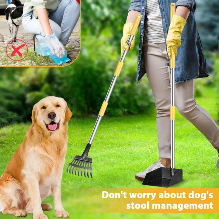 Dog Poop Tray and Rake Adjustable Pooper Scooper Pick Up Convenient