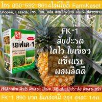 ปุ๋ยสับปะรด FK-1 ที่สุดของปุ๋ยน้ำ ทดแทนปุ๋ยเม็ด ครบถ้วนด้วยธาตุอาหาร ที่จำเป็นที่สุดต่อ สับปะรด