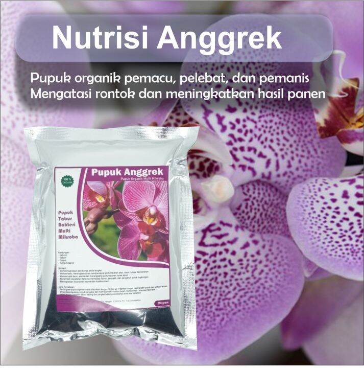 Pupuk Anggrek Penyubur Daun Agar Cepat Beranak Rajin Berbunga