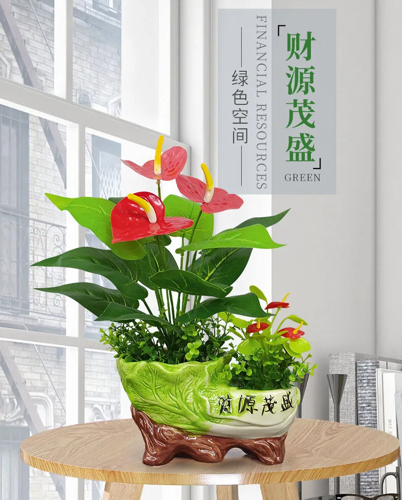 Bonsai hoa giả - một trong những sự lựa chọn phổ biến cho các tín đồ yêu cây cảnh. Hãy cùng ngắm nhìn hình ảnh những loài bonsai hoa giả đầy màu sắc và phong phú.