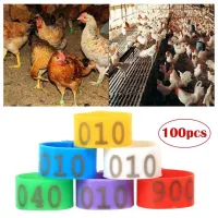 ZHONGLIAN 001-100 หมายเลข 100 ชิ้น / ถุง ห่าน เป็ด ไก่ สัตว์ปีก อุปกรณ์สำหรับนก แหวนคลิปเท้า แหวนวงขา อุปกรณ์ฟาร์ม