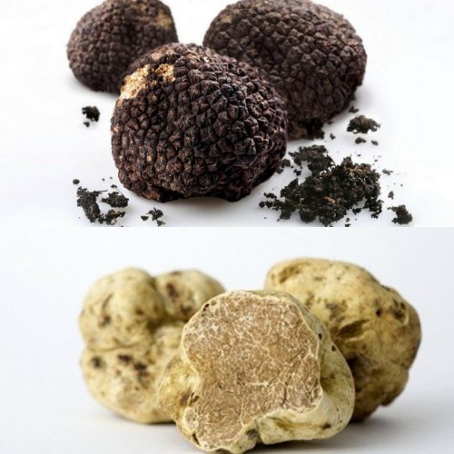 Nấm đen thượng hạng urbani whole black winter truffle 70gr 24h - ảnh sản phẩm 2