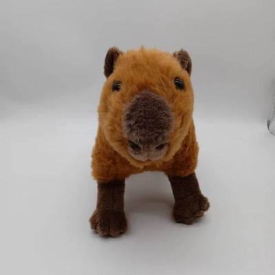 （HOT) สินค้าใหม่ข้ามพรมแดน SimulationCapybara ตุ๊กตาหนูตะเภาน้ำจำลองตุ๊กตาการ์ตูนตุ๊กตาของเล่น