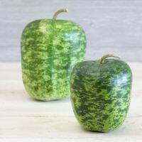 เมล็ดพันธุ์ น้ำเต้าแอปเปิ้ล (Apple Large Gourd Seed) บรรจุ 10 เมล็ด คุณภาพดี ราคาถูก ของแท้ 100%