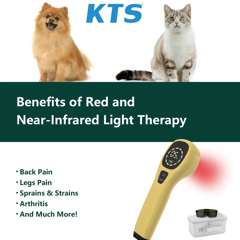 is red light therapy good for dogs