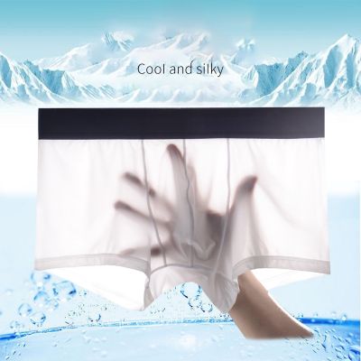 【CW】 2021 Silk Men Seamless Transparent Shorts Ultra Thin Sheer Breathable Panties Underpants