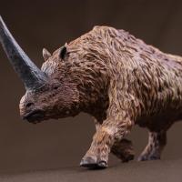 Collecta coelodonta antiquitate elastomotherium จำลองสัตว์ของเล่น88858