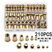 210/165/100PCS Box Rivet Nuts Carbon Steel M4 M5 M6 M8 M10 M12 Flat Head Rivet Nuts Set Hardware Multi Sizes Insert Rivet Nuts