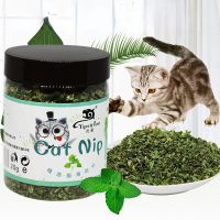 Mainan Kucing Rasa Mint ข่าวลือว่า Catnip Kualtinggi Alami 100% Organik Mainan Kucing Perlenkapan Hewan Peliharaan