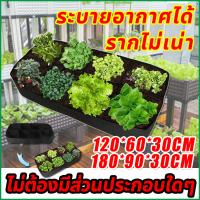 สามารถปลูกที่บ้านได้ TB กระบะเพาะปลูก ขนาด 120x60x30cm/180x90x30cm ใช้​ป​ลูกผัก กระบะเพาะปลูก แปลงปลูกผัก แปลงผักเพาะปลูก กะบะใส่ดินปลูกต้นไม้ กระถางปลูกผัก กระบะปลูกผัก​ ถุงปลูก​ต้นไม้  กะบะเพาะปลูก  แปลงผักเพาะปลูก