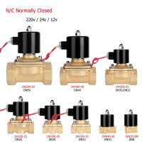 Electric Solenoid Valve 1/4" 3/8" 1/2" 3/4" 1" DN8/10/15/20/25/50 Normally Closed Pneumatic for Water Oil Air 12V 24V 220V Valves