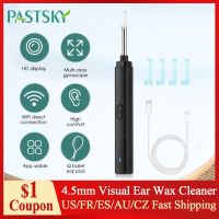 Wireless Smart Visual Ear Cleaner Otoscope Ear Wax Removal Tool with Camera Ear Endoscope Ear Wax Removal Kit for iPhone Android