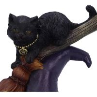 Resin Figure Wizard Figurine Bewitched Black Cat Ornament Magic Cat Statue Table Art Gift Cute Miniatures Home Decor