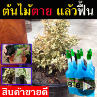 ?ส่งเร็ว? ปุ๋ยน้ำ B5 (6 ขวด ) ปุ๋ยฟื้นฟูต้นไม้ เร่งต้นไม้โต ขนาด 40 ml. ปุ๋ยปลูกต้นไม้ ปุ๋ยใส่ต้นไม้ ปุ๋ยเร่งต้นไม้ ปุ๋ยน้ำเร่งโต