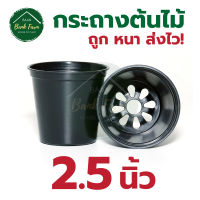 กระถาง2.5นิ้ว สีดำ (10-50ใบ) กระถางราคาถูก กระถางพลาสติก กระถางต้นไม้ l บ้านแบงค์ฟาร์ม