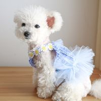 Dog Clothes for Small Dogs Dress Sweet Dog Girly Dress Spring Summer Puppies Small Dog Lace Floral Printing Dog Skirt Dresses