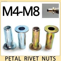 ✷◐✈ M4 M5 M6 M8 304 Stainless Steel Petal Rivets Nut Pull Rivet Bolt Cap Slotted Color Zinc Plating Car License Plate Fixed Screw