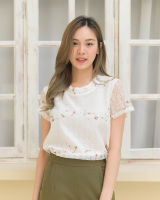 CRAYONBRAND - เสื้อรุ่น Kuri top