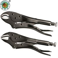 BERRYLION 10/250mm Locking Pliers Round And Flat Mouth Wire Stripper Multitool Vice Grips Pliers Hand Tools